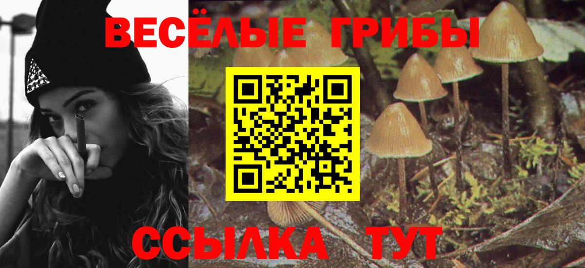 Псилоцибиновые грибы мухоморы Гусь-Хрустальный